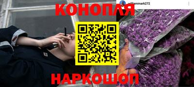 прущая мука Гусев