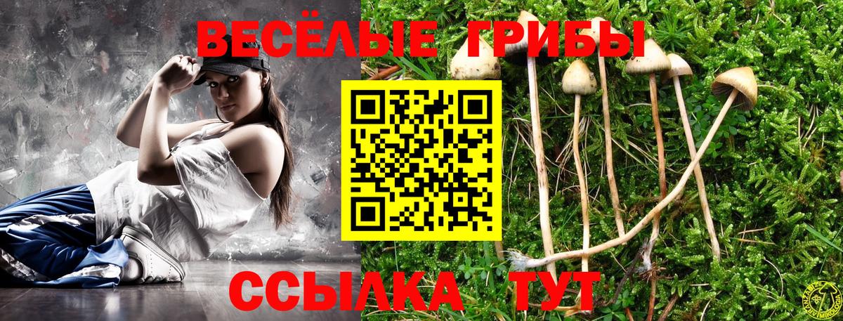 Галлюциногенные грибы мицелий Норильск